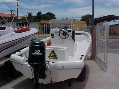 REAL DIVER 16‘ COM MERCURY 5 HP 27