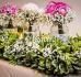 Decoração de Casamento em Curitiba - Buquê de Flores para Casamento em Curitiba - VideiraEventos.com.br