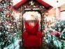 .:. ALUGUEL LOCAÇÃO TRONOS POLTRONAS PAPAI NOEL