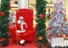 .:. ALUGUEL LOCAÇÃO TRONOS POLTRONAS PAPAI NOEL