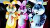 Coelhos da Páscoa personagens vivos Loja empresa escolas