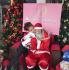 papai noel  festa na escolinha, residências e corporativo